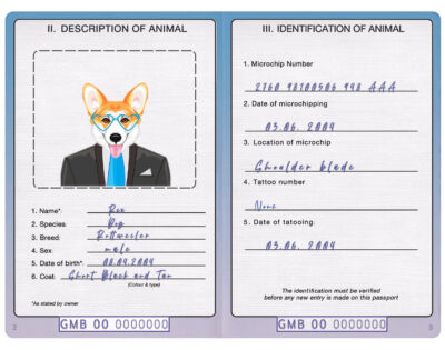 Gambia dog Fake PSD Passport | Instant Download