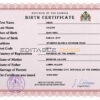 Authentic Gambia Birth Certificate Template | Customize and Download Online