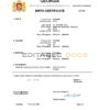 Authentic Georgia Birth Certificate Template | Customize and Download Online