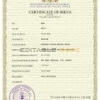 Authentic Georgia Birth Certificate Template | Customize and Download Online
