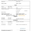 Authentic Germany Birth Certificate Template | Customize and Download Online