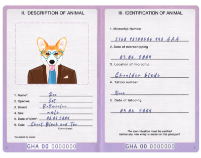 Ghana dog Fake PSD Passport | Instant Download