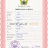 Authentic Ghana Birth Certificate Template | Customize and Download Online