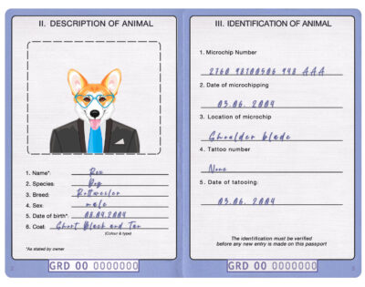 Grenada dog Fake PSD Passport | Instant Download