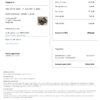 Editable Guatemala Hotel Booking Form Template | Fillable PDF