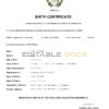 Authentic Guatemala Birth Certificate Template | Customize and Download Online