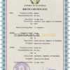 Authentic Guatemala Birth Certificate Template | Customize and Download Online
