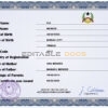 Authentic Guinea-Bissau Birth Certificate Template | Customize and Download Online