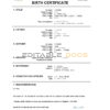 Authentic Guinea vital record Birth Certificate Template | Customize and Download Online