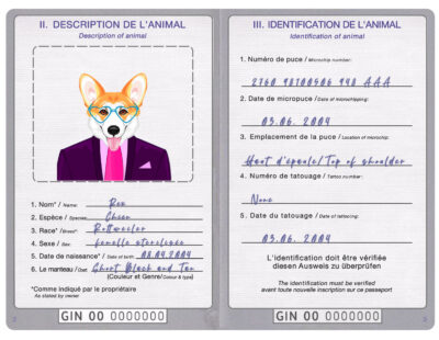 Guinea dog Fake PSD Passport | Instant Download