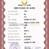 Authentic Guinea Birth Certificate Template | Customize and Download Online