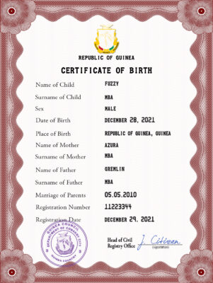 Guinea vital record birth certificate PSD template, completely editable