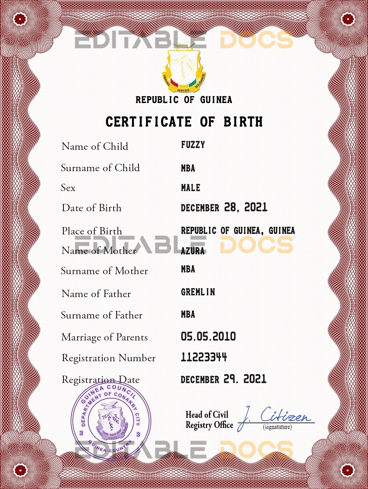 Authentic Guinea Birth Certificate Template | Customize and Download Online