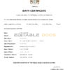 Authentic Guyana Birth Certificate Template | Customize and Download Online