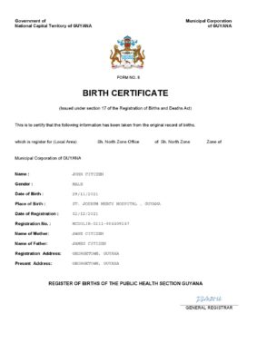 Guyana vital record birth certificate Word and PDF template, completely editable