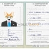 Haiti dog Fake PSD Passport | Instant Download