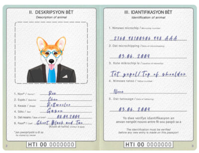 Haiti dog Fake PSD Passport | Instant Download