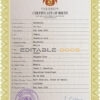 Authentic Hawaii Birth Certificate Template | Customize and Download Online
