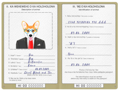 Hawaii dog Fake PSD Passport | Instant Download