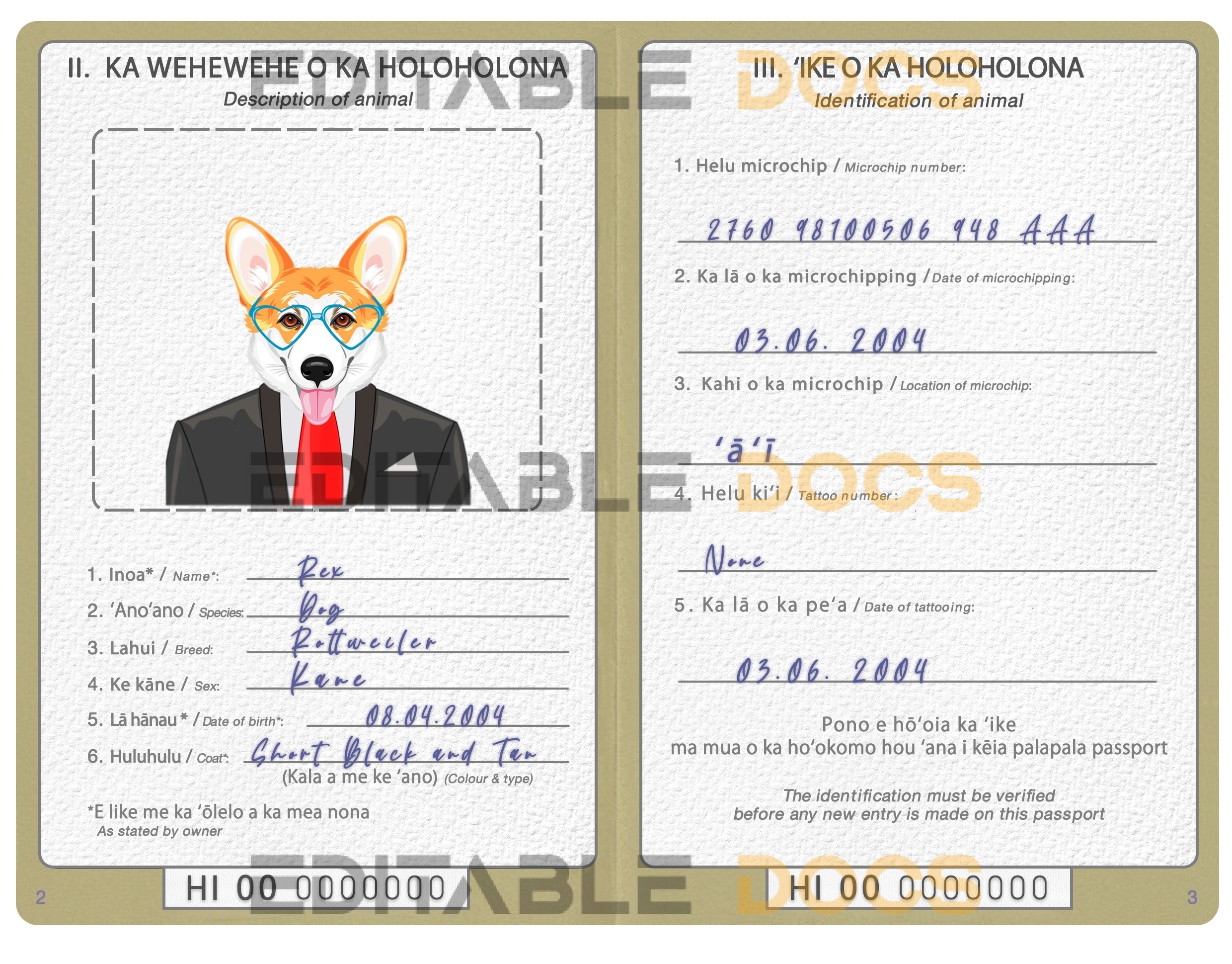 Hawaii dog Fake PSD Passport | Instant Download