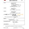 Authentic Holy See vital record Birth Certificate Template | Customize and Download Online