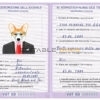 Holy See dog Fake PSD Passport | Instant Download