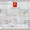 Authentic Holy See Birth Certificate Template | Customize and Download Online