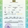 Authentic Honduras Birth Certificate Template | Customize and Download Online