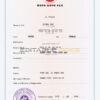 Authentic Hong-Kong Birth Certificate Template | Customize and Download Online