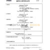 Authentic Iceland Birth Certificate Template | Customize and Download Online