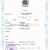 Authentic Iceland Birth Certificate Template | Customize and Download Online