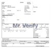 High-Quality India Saral cooperative altimetry technology mission Invoice Template PDF | Fully Editable