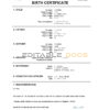 Authentic India Birth Certificate Template | Customize and Download Online