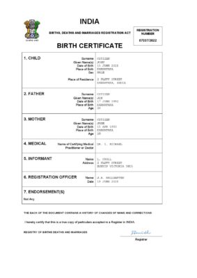 India vital record birth certificate Word and PDF template, completely editable