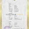 Authentic Indonesia Birth Certificate Template | Customize and Download Online