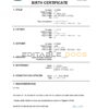 Authentic Iraq Birth Certificate Template | Customize and Download Online