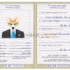 Iraq dog Fake PSD Passport | Instant Download