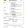 Authentic Ireland Birth Certificate Template | Customize and Download Online