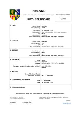 Ireland birth certificate Word and PDF template, completely editable