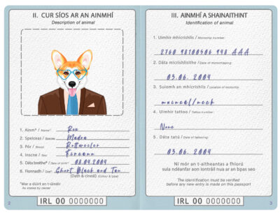 Ireland dog Fake PSD Passport | Instant Download