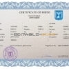 Authentic Israel Birth Certificate Template | Customize and Download Online