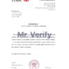Download Israel HSBC Bank Reference Letter Templates | Editable Word