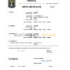 Authentic Israel Birth Certificate Template | Customize and Download Online