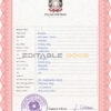 Authentic Italy Birth Certificate Template | Customize and Download Online