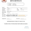Authentic Jamaica Birth Certificate Template | Customize and Download Online