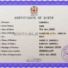 Authentic Jamaica Birth Certificate Template | Customize and Download Online