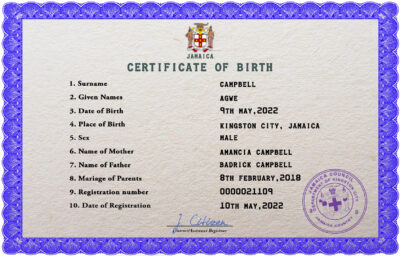 Authentic Jamaica Birth Certificate Template | Customize and Download Online