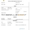 Authentic Japan Birth Certificate Template | Customize and Download Online