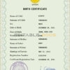 Authentic Japan Birth Certificate Template | Customize and Download Online