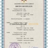 Authentic Jordan Birth Certificate Template | Customize and Download Online